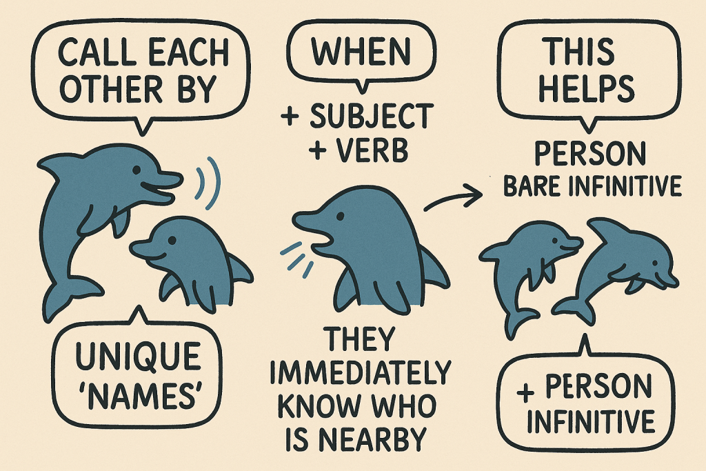 イメージでわかる英文法表現:イルカの「名前」呼び(Dolphins' Unique Names)