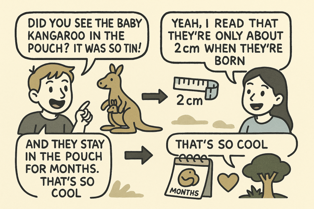 カンガルーの赤ちゃんについての英会話を通じて、「so tiny」「2cm」「stay in the pouch」などの表現を学べるビジュアル教材。