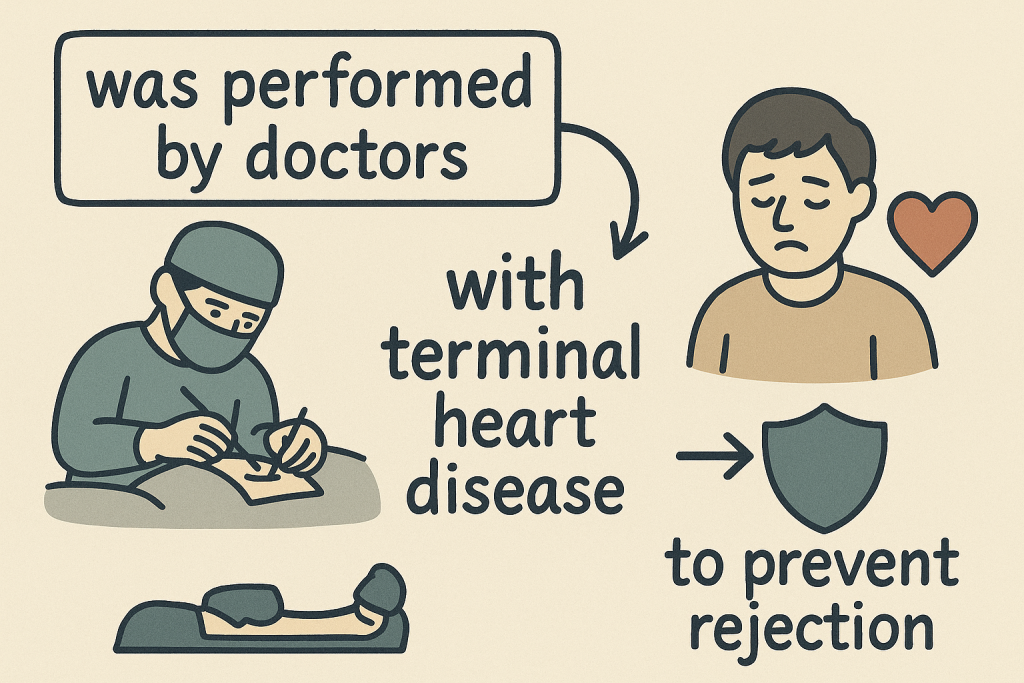 イメージでわかる英文法表現:世界初、豚の心臓を人間に移植成功(World's First Successful Pig Heart Transplant into Human)