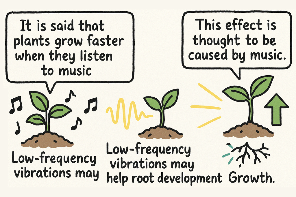 イメージでわかる英文法表現:音楽が植物の成長に与える影響(The Effect of Music on Plant Growth)